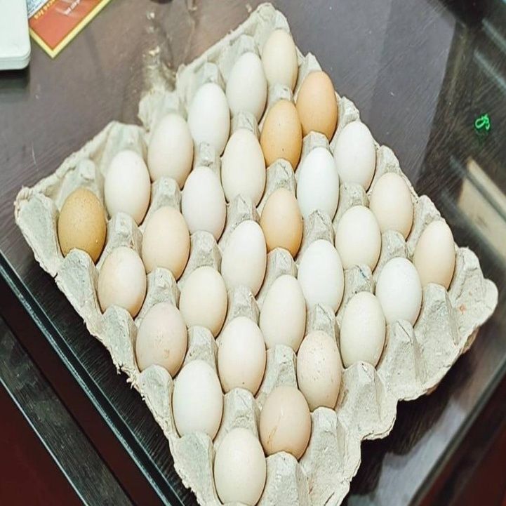 Country Eggs Tray (30 Eggs)